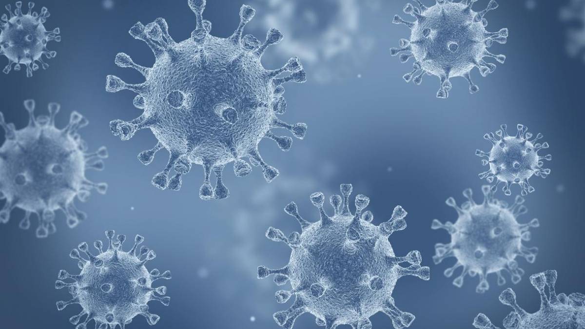 imagem 3d novo coronavirus