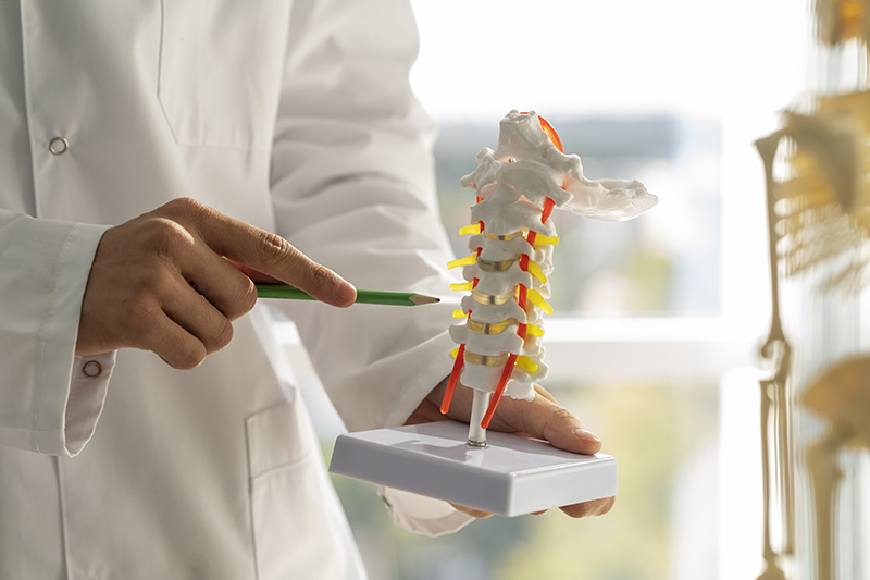 Qual médico cuida da coluna vertebral?